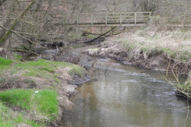 Hall Wood Bridge