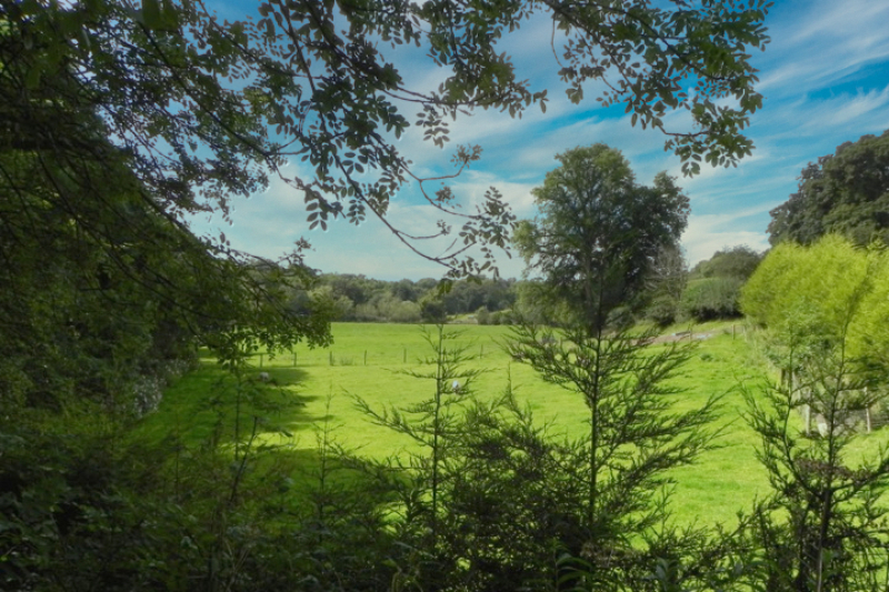 Deanfields